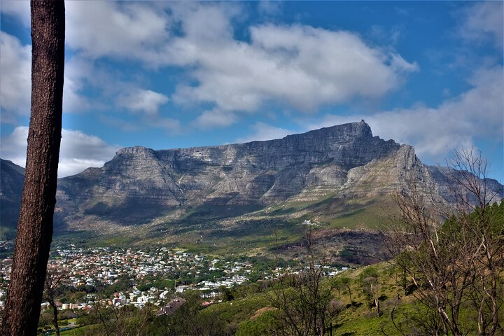 Private Tour : The Great Gatsby Food Tour Cape Town - Photo 1 of 4